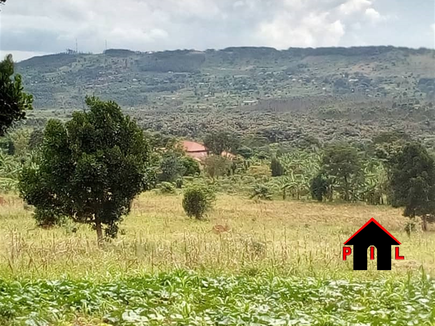 Agricultural Land for sale in Wabikokoma Luweero