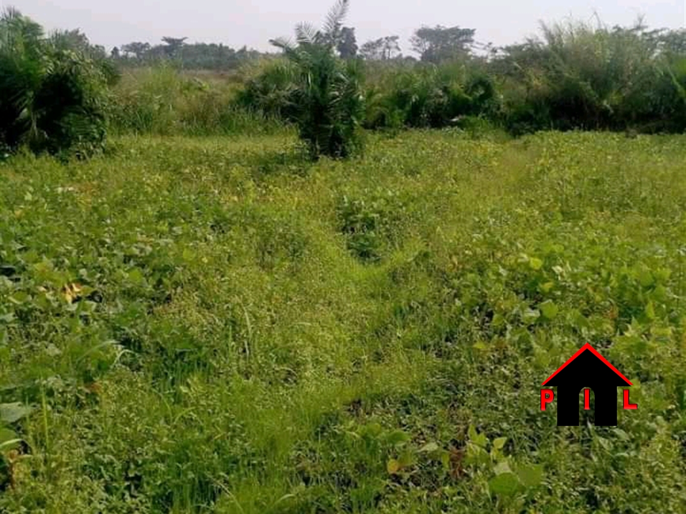 Residential Land for sale in Kasengejje Wakiso