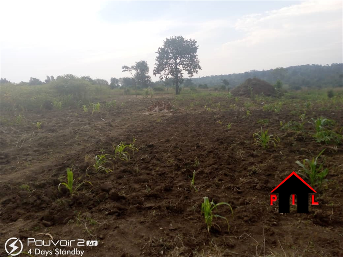 Agricultural Land for sale in Lukiizi Luweero