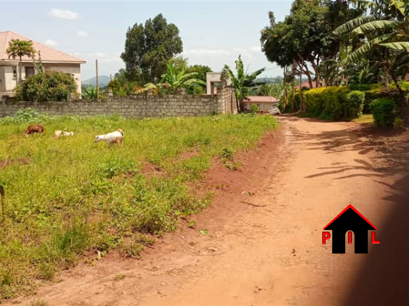 Residential Land for sale in Rubaga Kampala