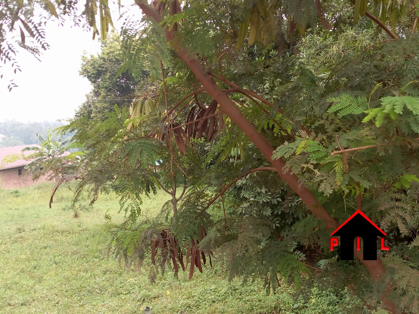 Residential Land for sale in Kikandwa Wakiso