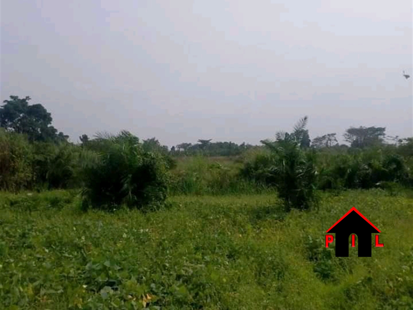 Agricultural Land for sale in Jezza Mityana