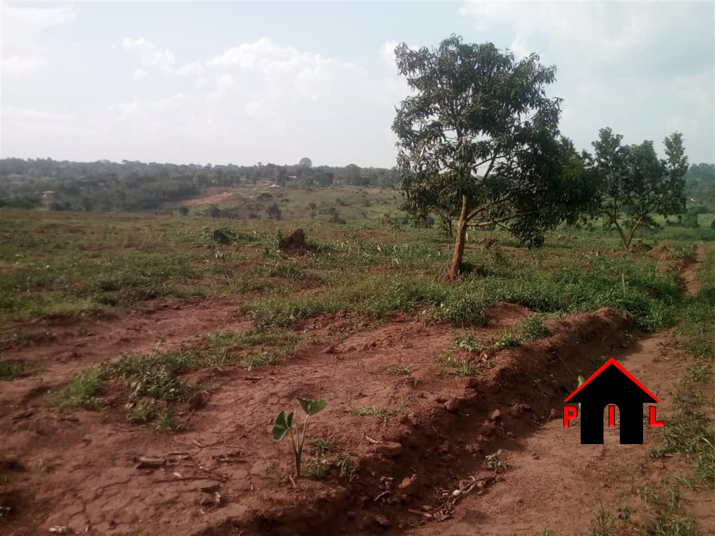 Agricultural Land for sale in Bukomelo Kiboga