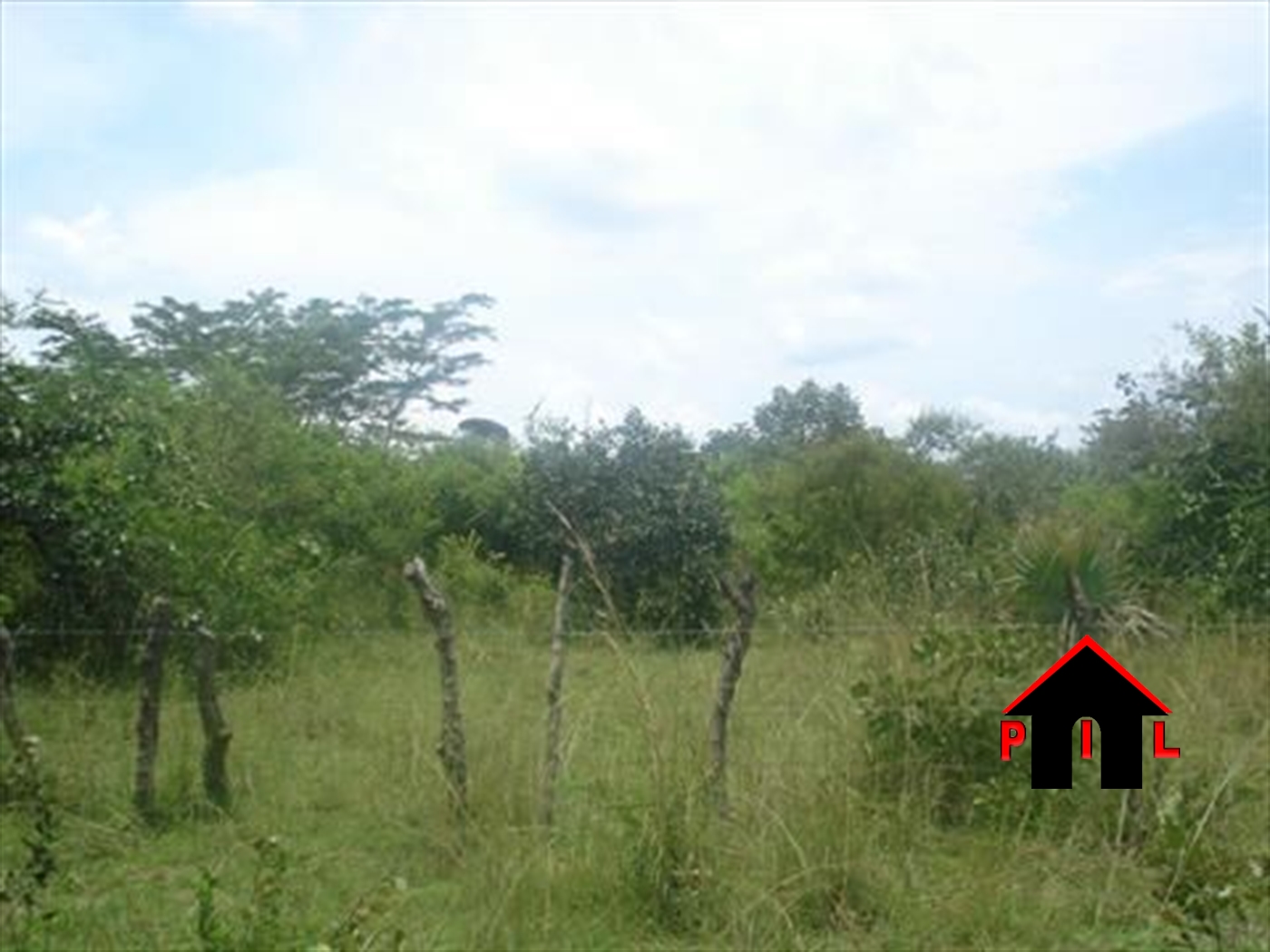 Agricultural Land for sale in Sentema Wakiso