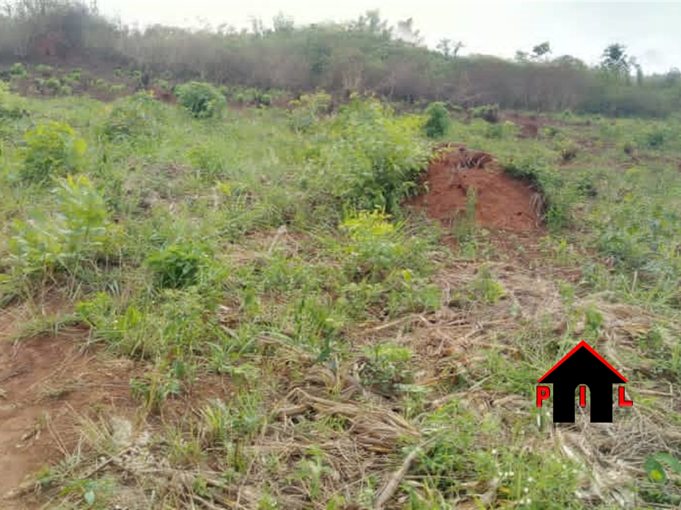 Agricultural Land for sale in Kayonza Luweero