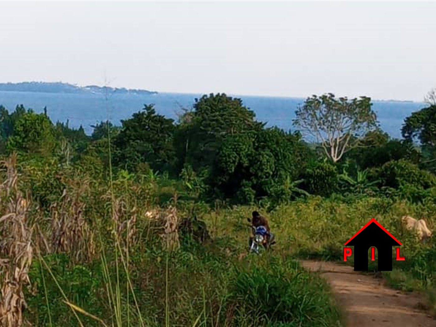 Residential Land for sale in Zziba Wakiso