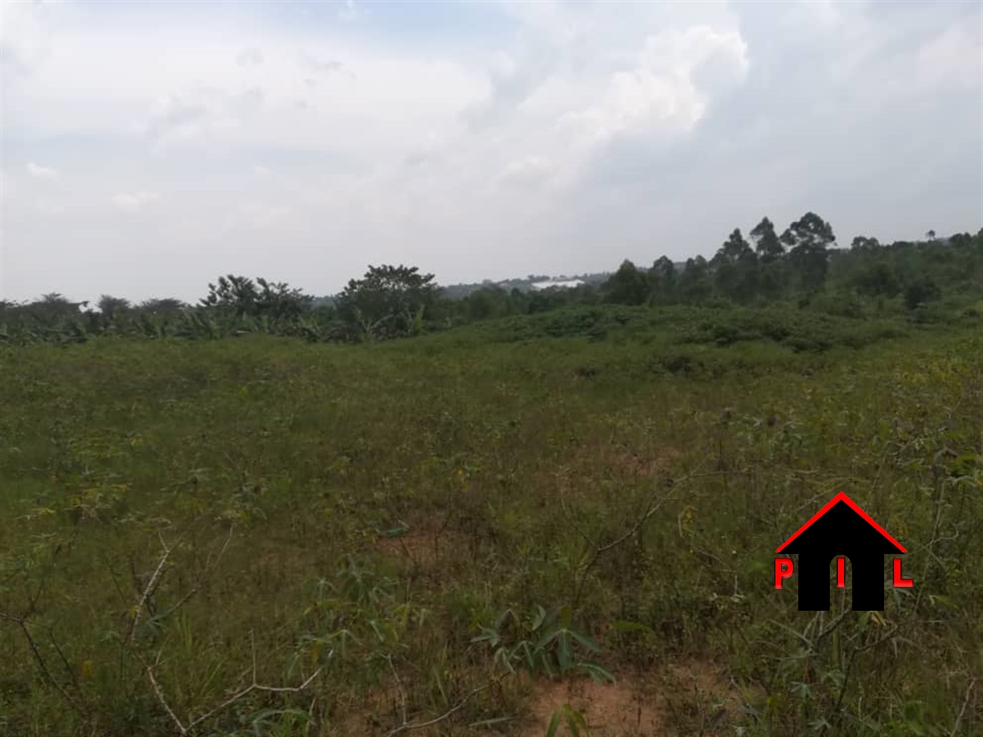 Agricultural Land for sale in Saasira Nakasongola