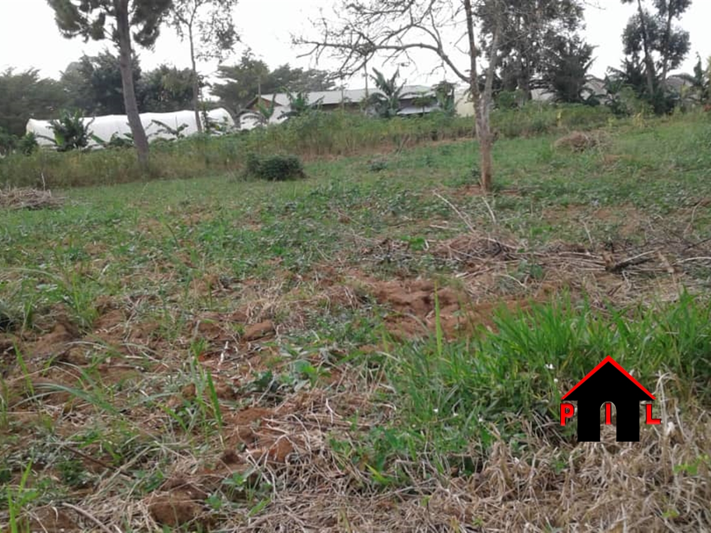 Residential Land for sale in Buddugala Mukono