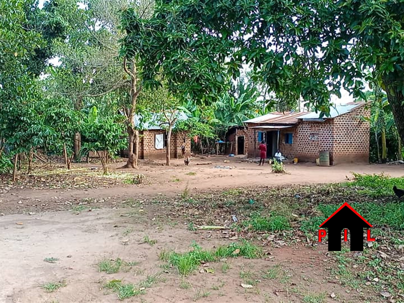 Agricultural Land for sale in Wobulenzi Luweero