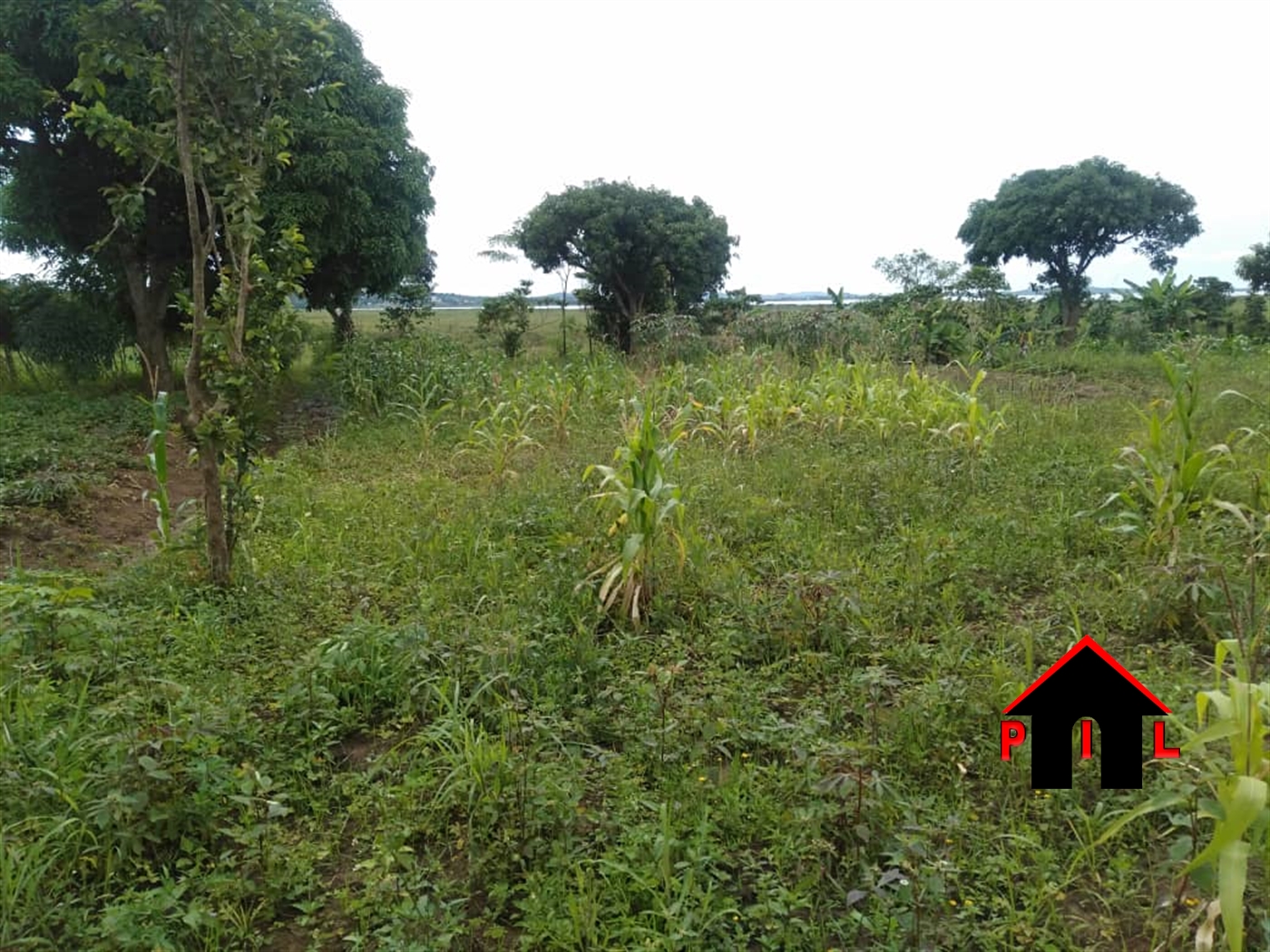 Agricultural Land for sale in Bweya Wakiso