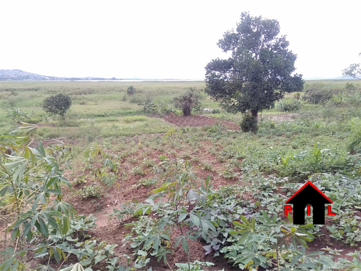 Agricultural Land for sale in Bweya Wakiso