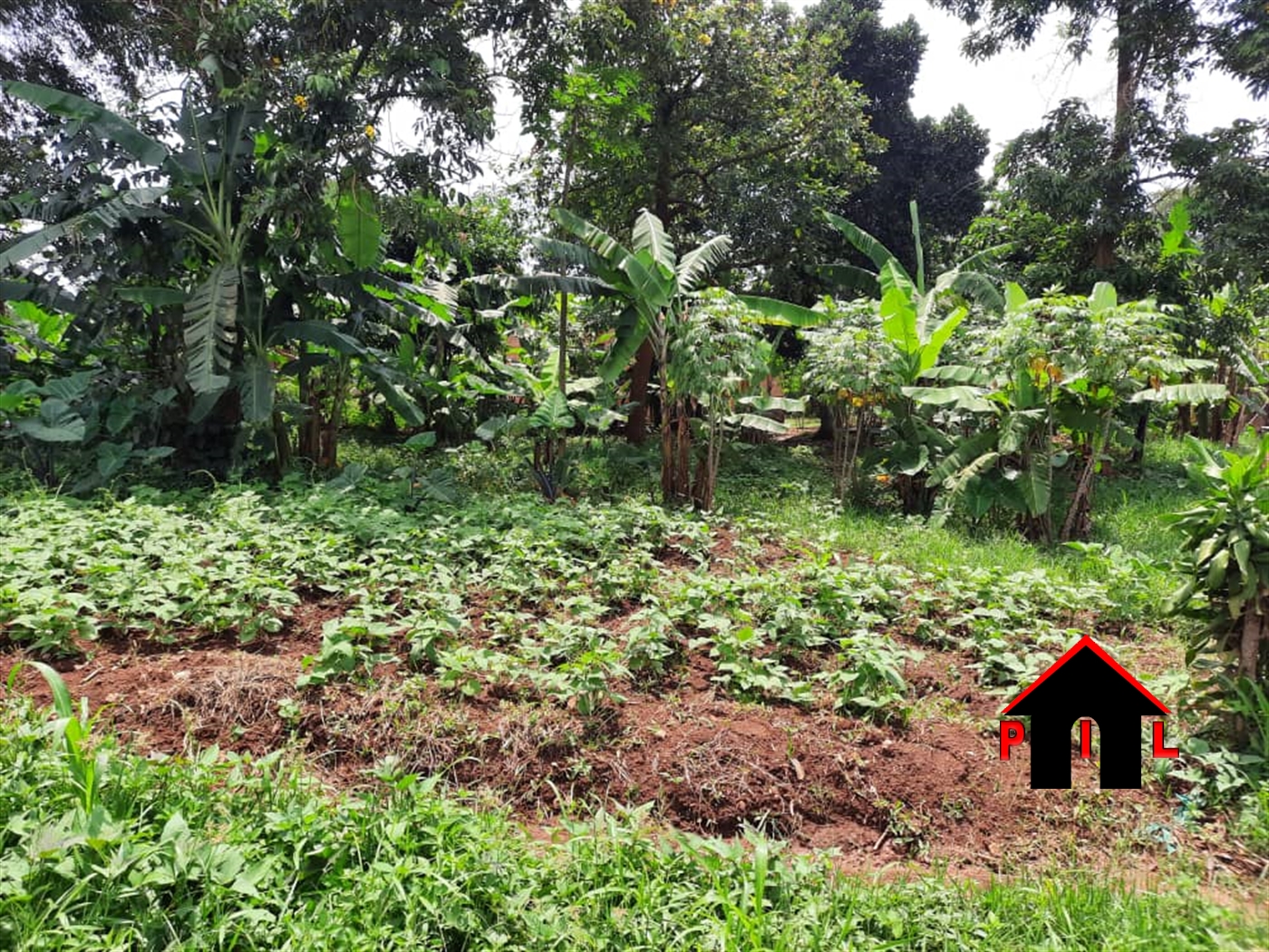 Agricultural Land for sale in Buwaate Wakiso