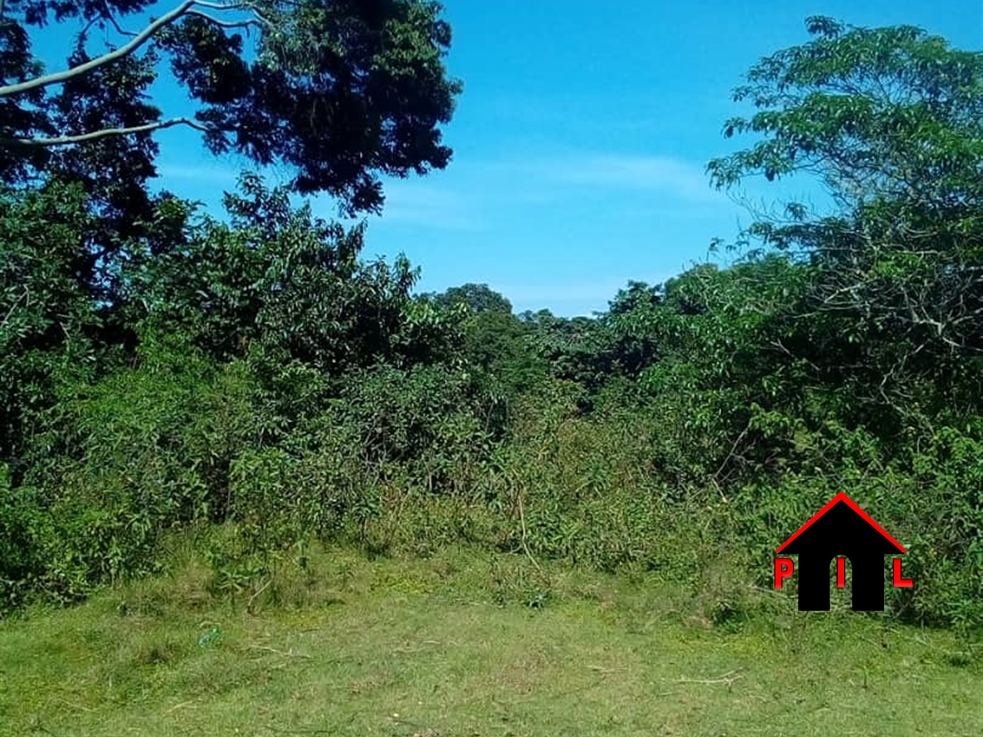 Agricultural Land for sale in Butalangu Nakaseke