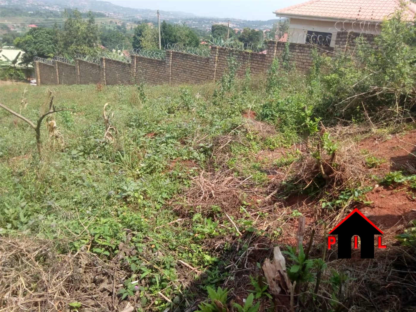 Agricultural Land for sale in Kasikombe Mityana