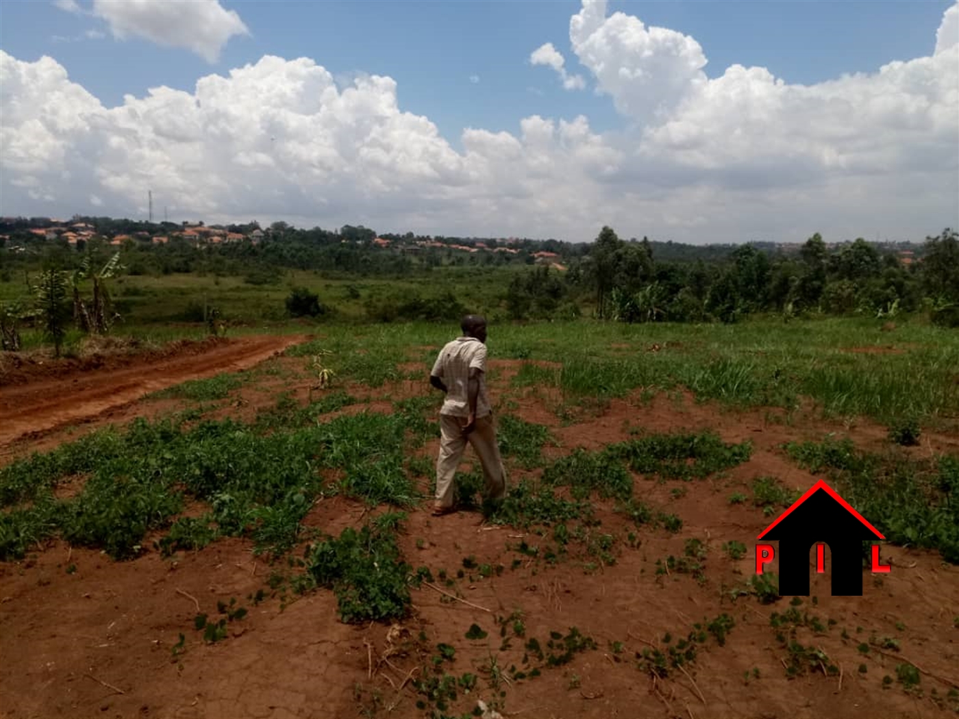 Agricultural Land for sale in Kasikombe Mityana