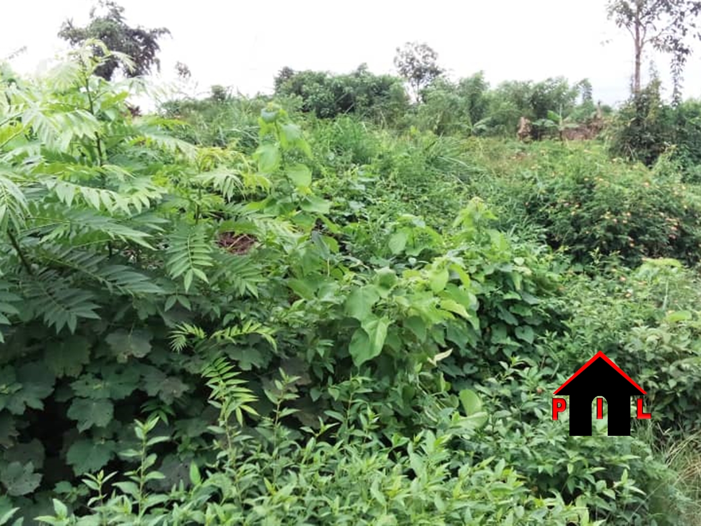Agricultural Land for sale in Matuuga Wakiso