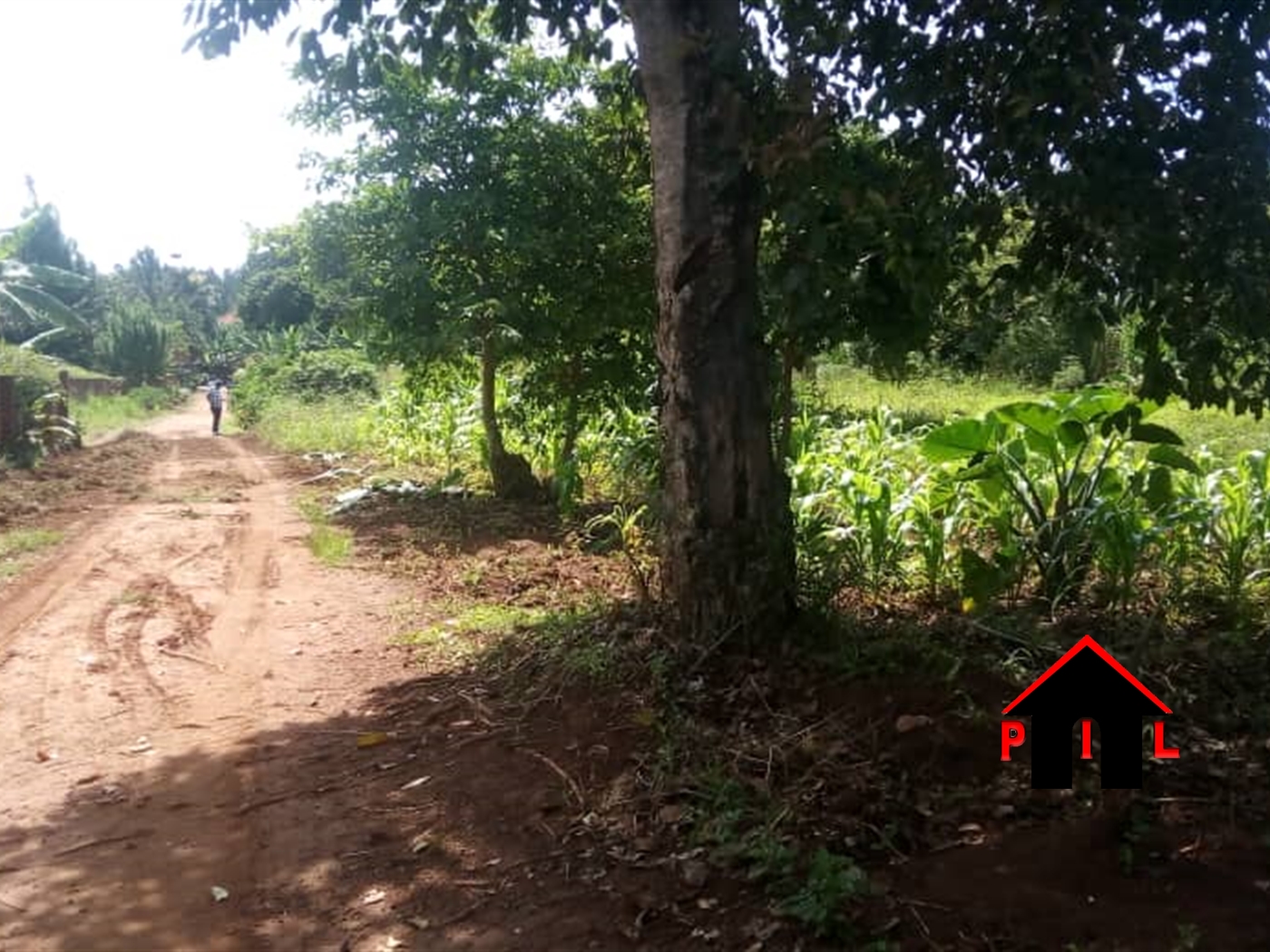 Agricultural Land for sale in Matuuga Wakiso