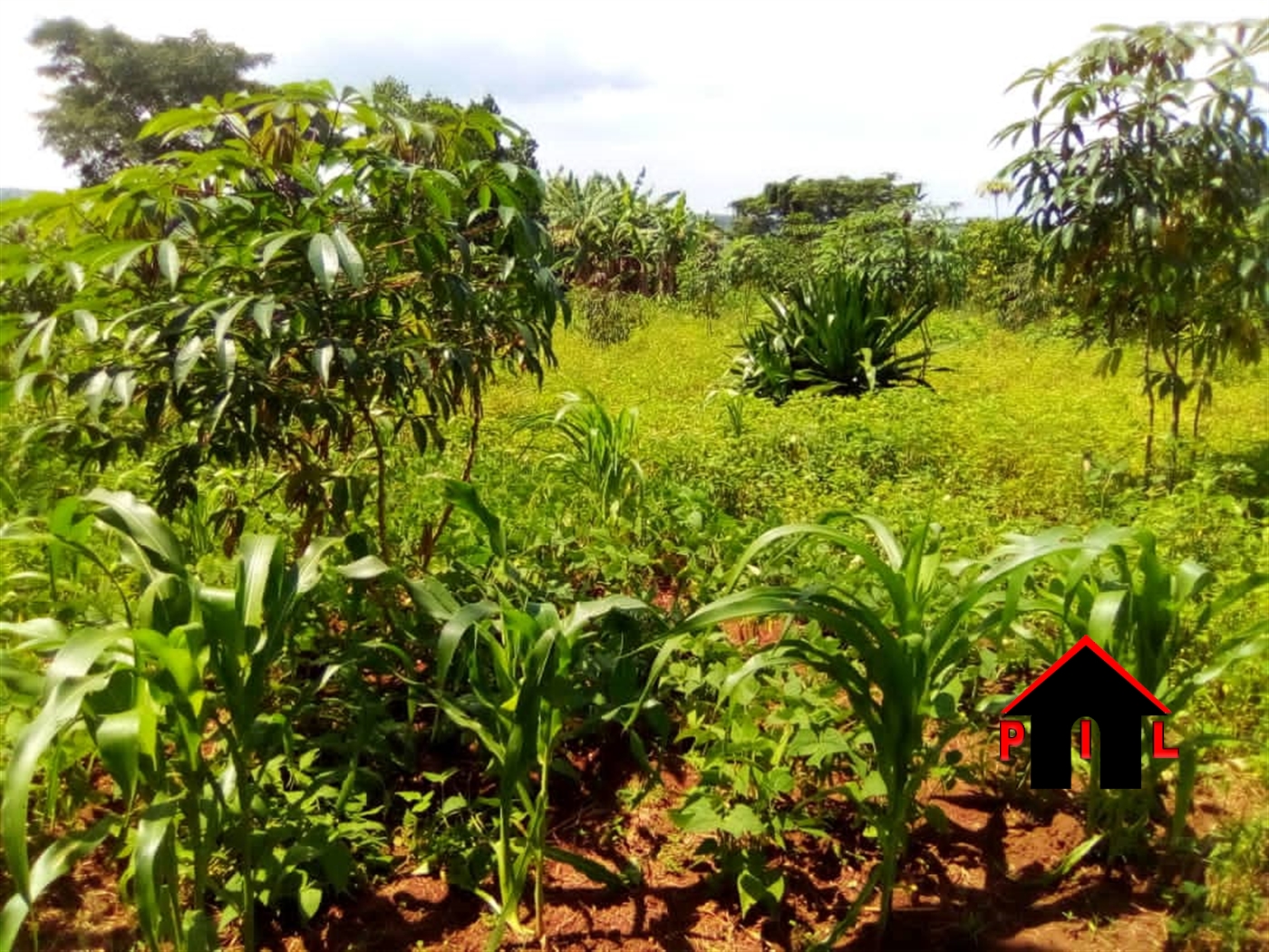 Residential Land for sale in Kavule Wakiso