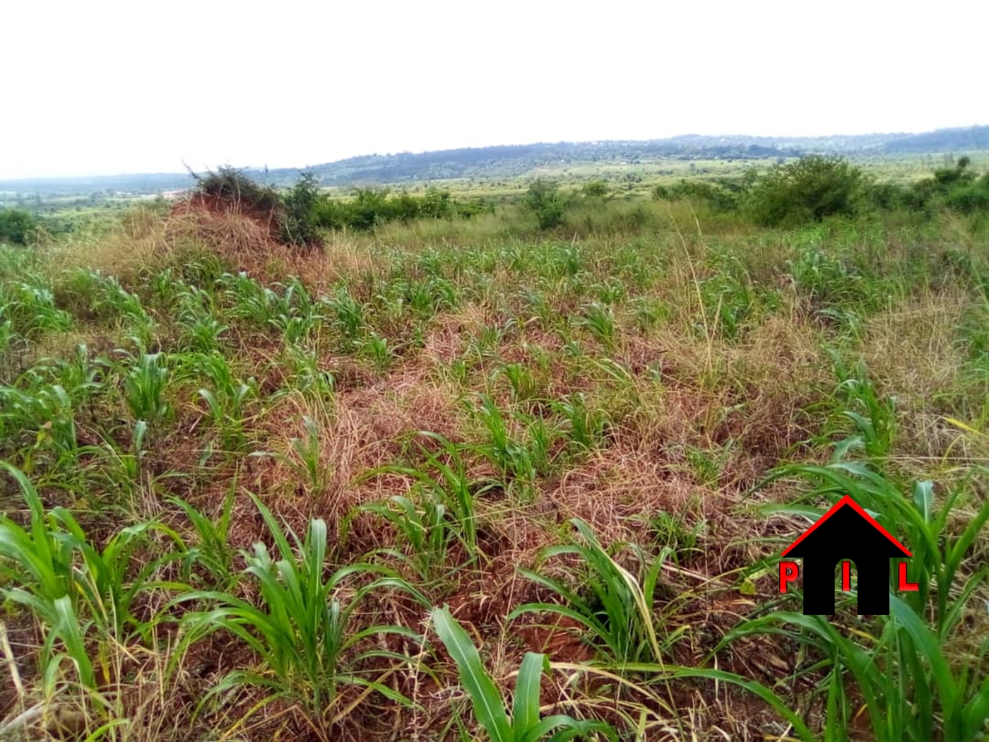 Residential Land for sale in Kavule Wakiso