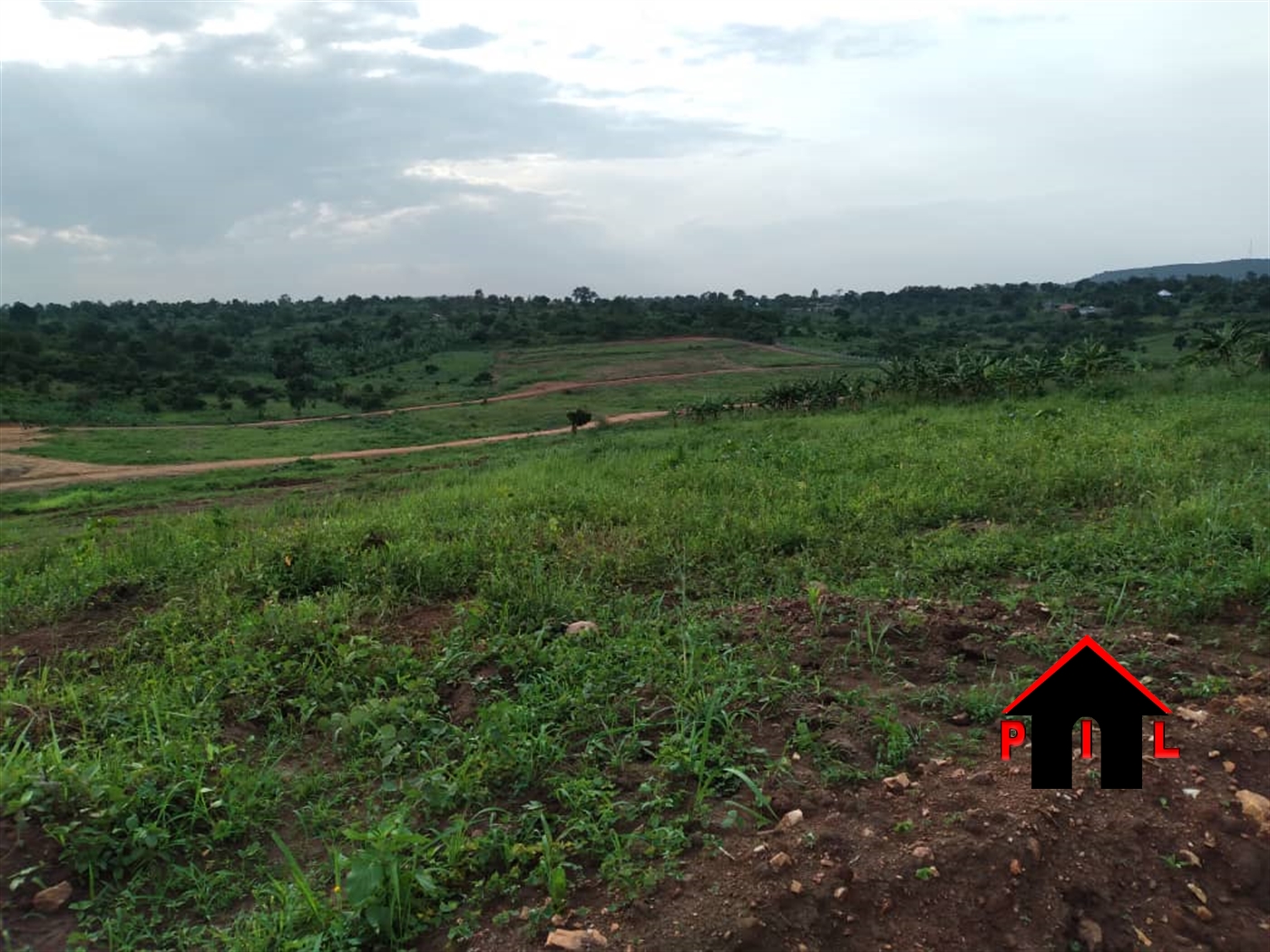 Agricultural Land for sale in Kiwenda Wakiso