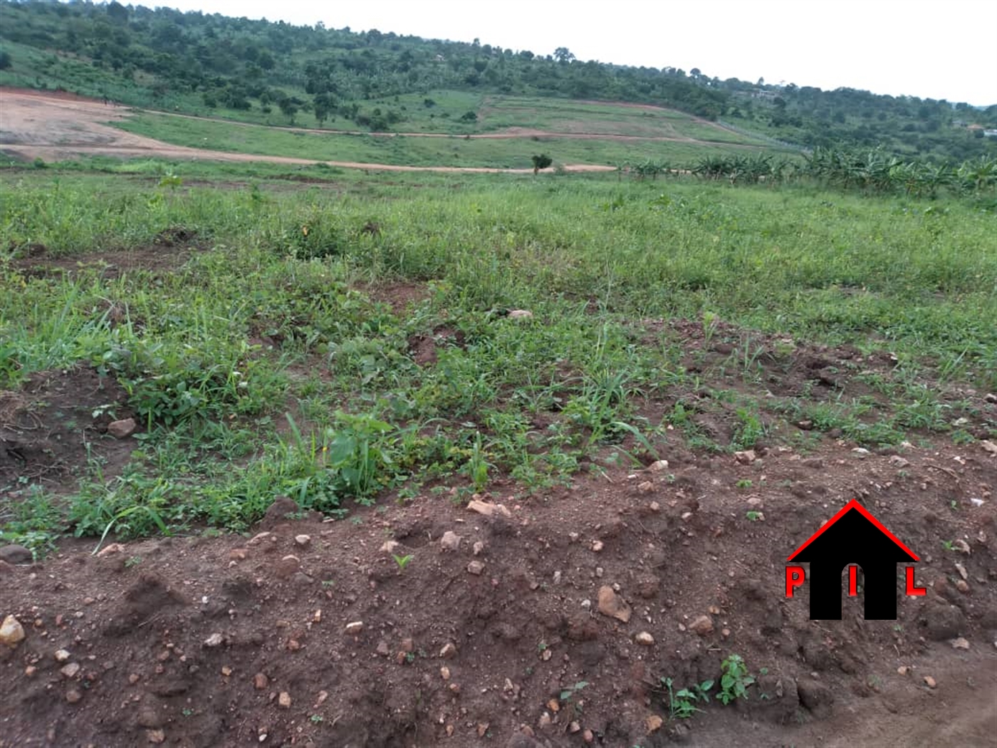 Agricultural Land for sale in Kiwenda Wakiso