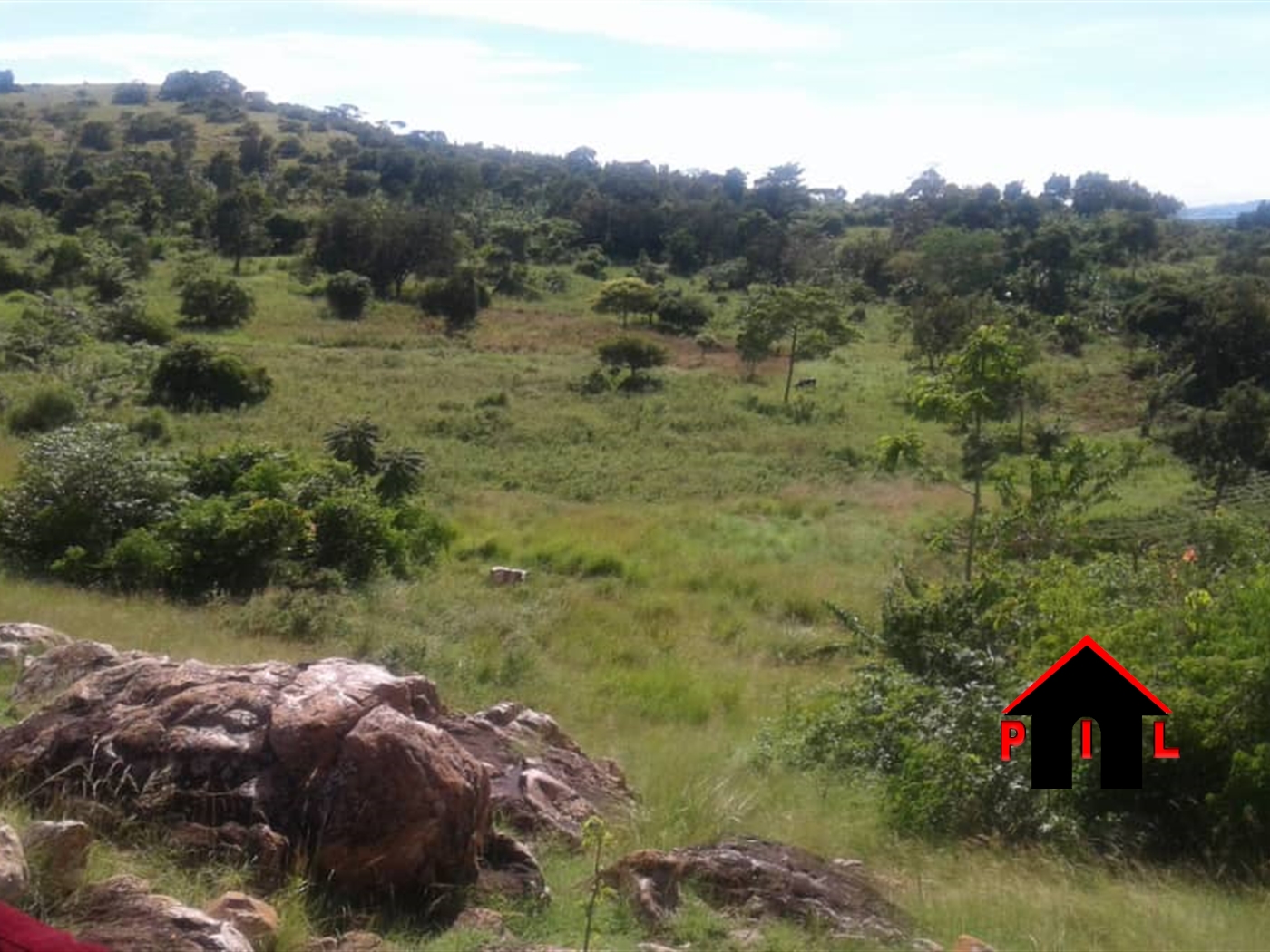 Agricultural Land for sale in Matte Wakiso