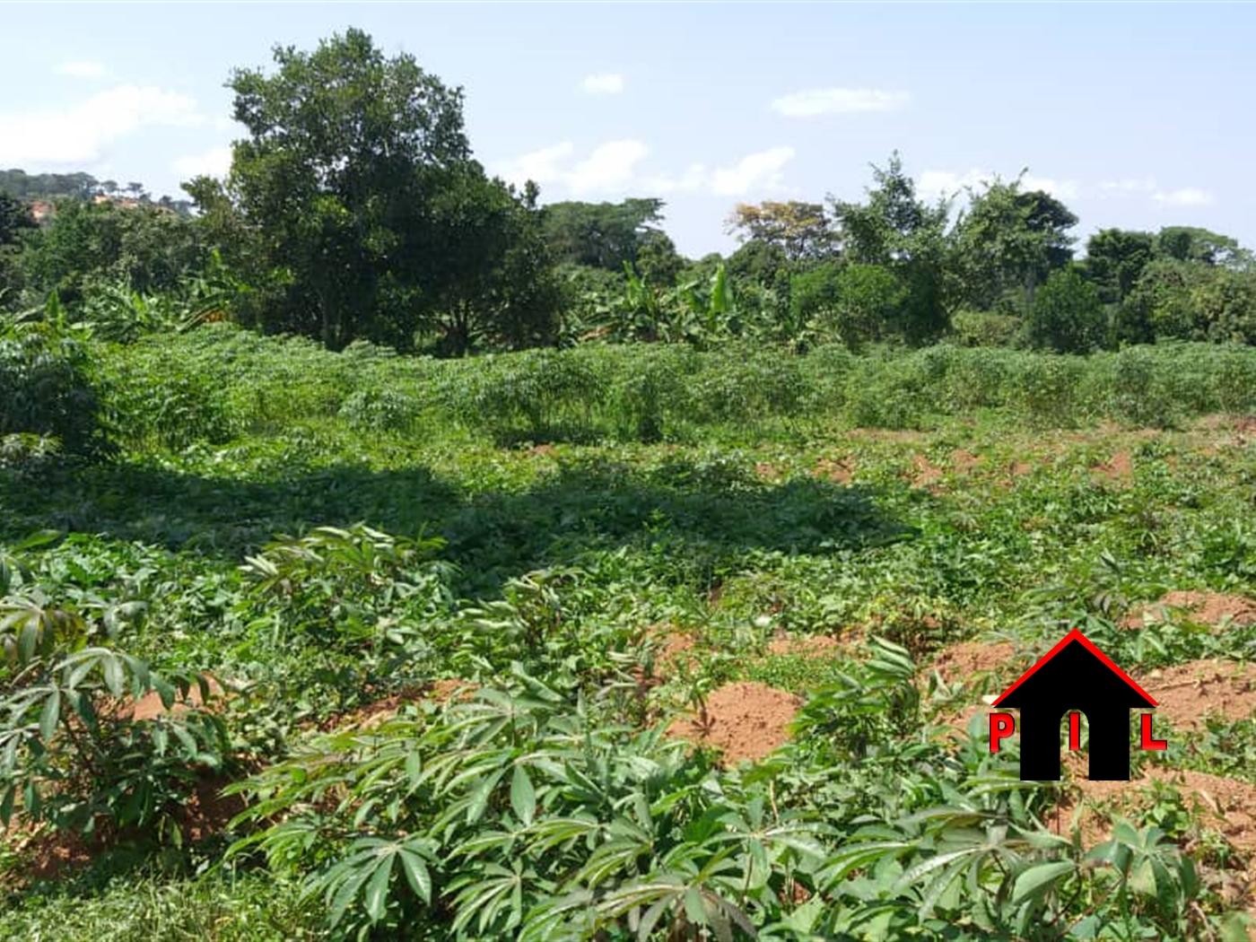 Agricultural Land for sale in Matte Wakiso