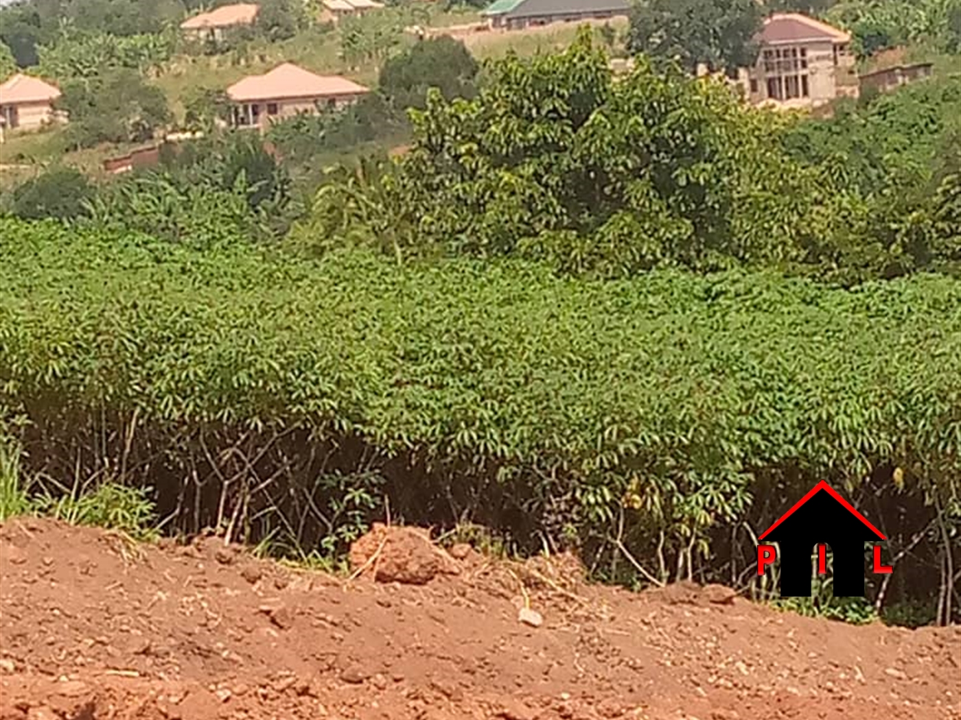 Agricultural Land for sale in Kayabwe Masaka