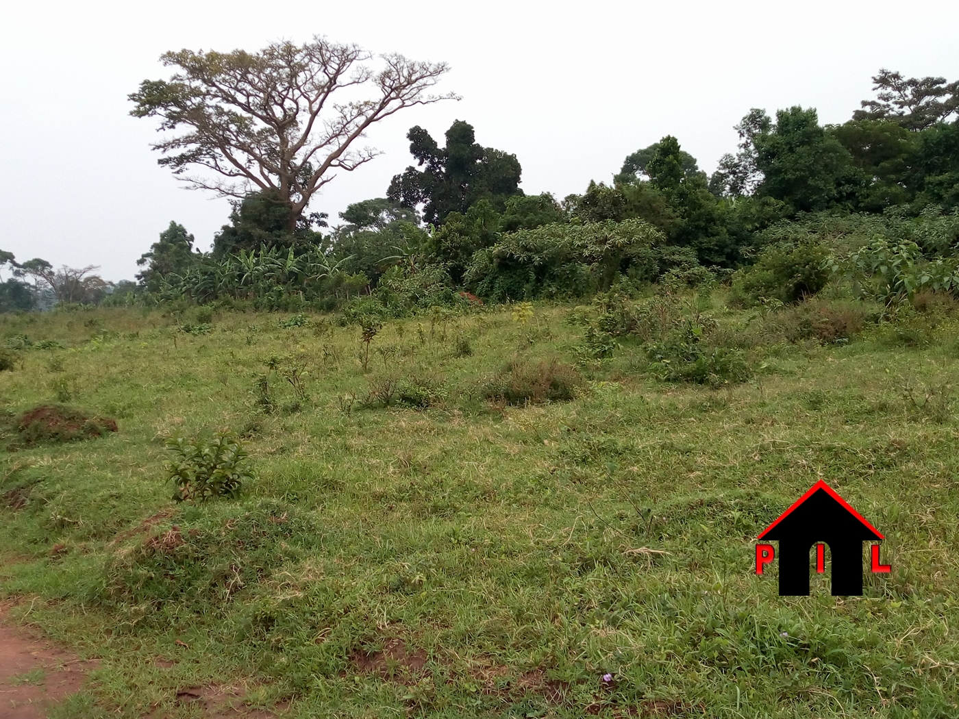 Agricultural Land for sale in Manyagwa Wakiso