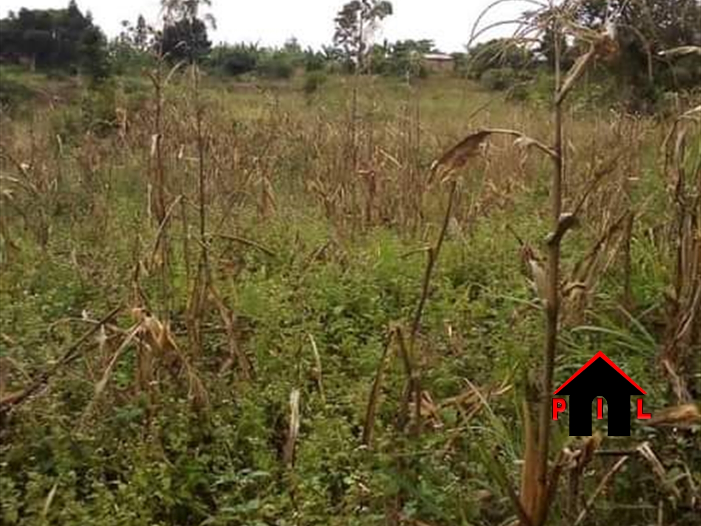 Agricultural Land for sale in Namigavu Wakiso