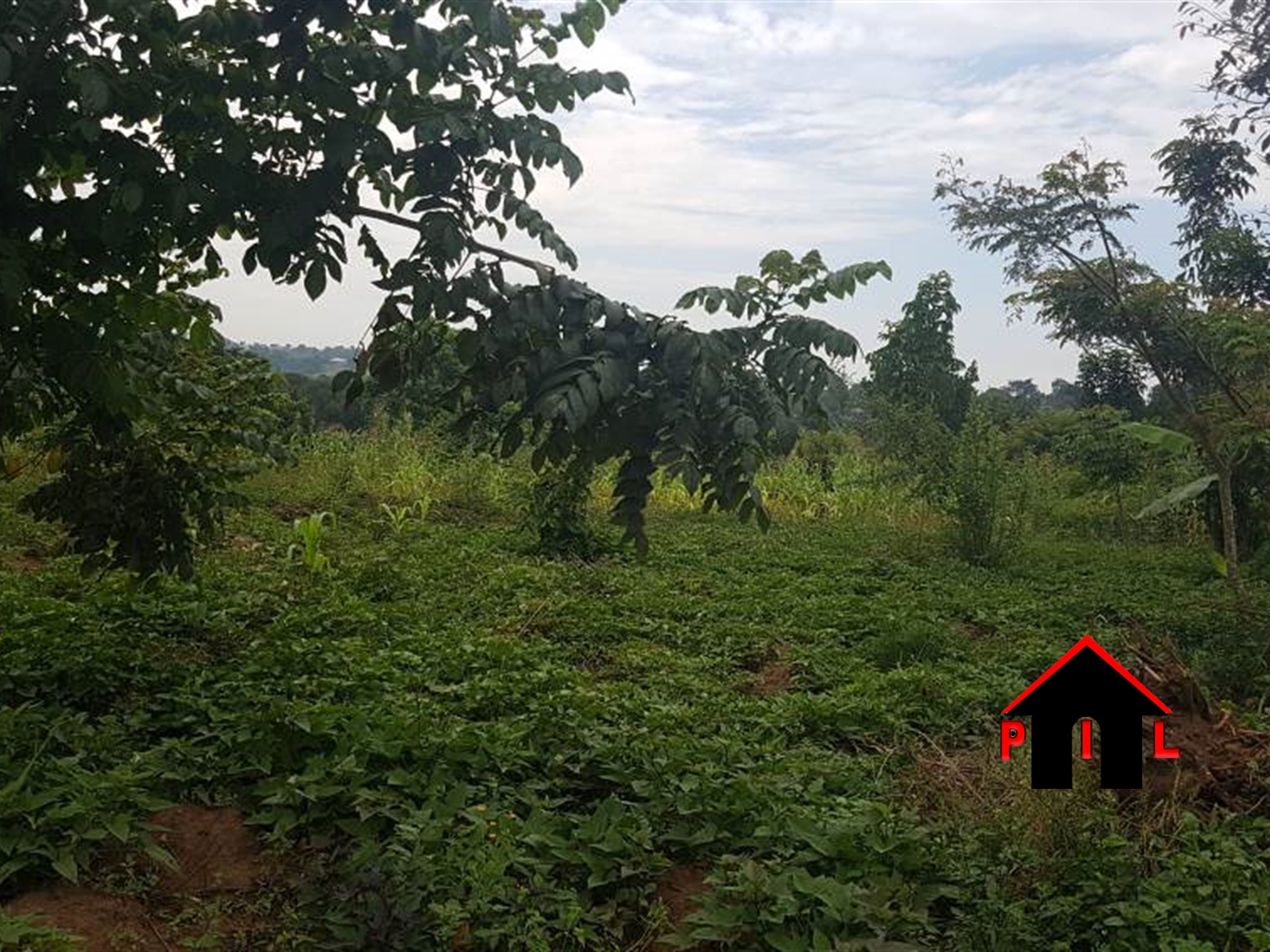 Agricultural Land for sale in Bukalasa Luweero