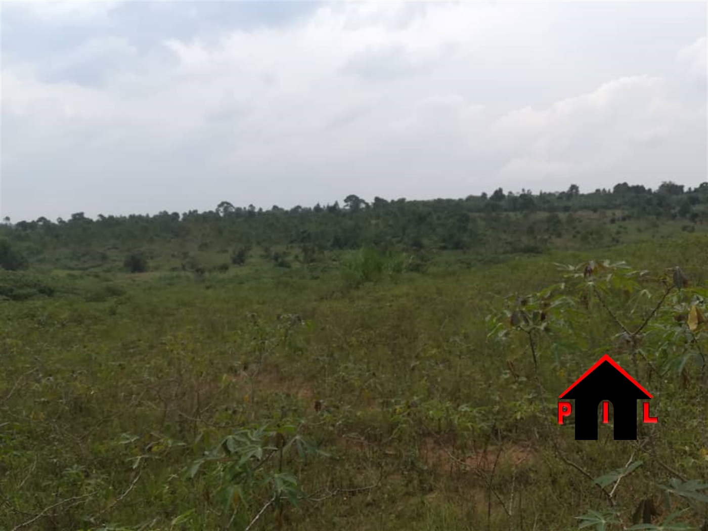 Agricultural Land for sale in Namaasa Nakasongola