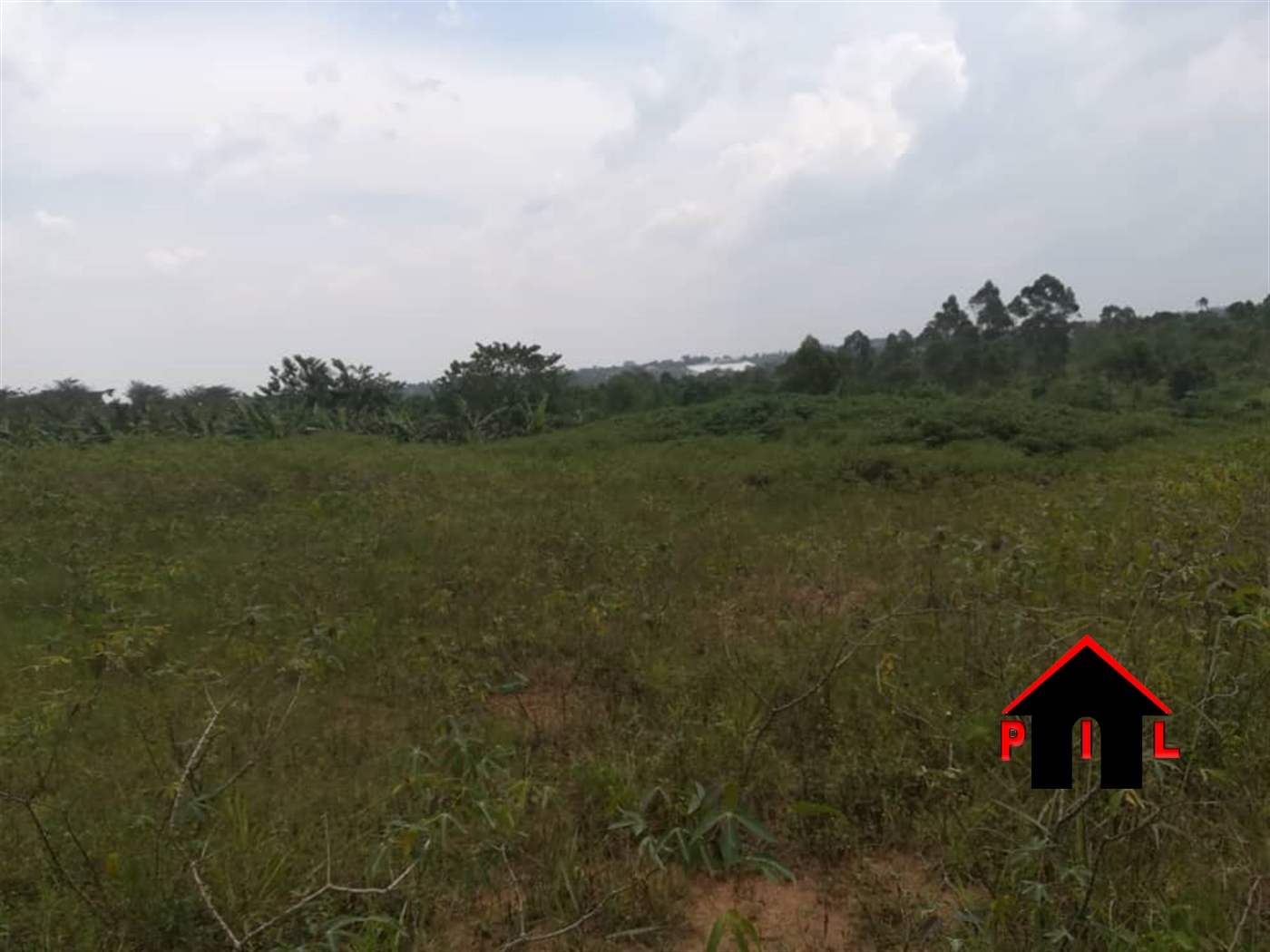 Agricultural Land for sale in Namaasa Nakasongola