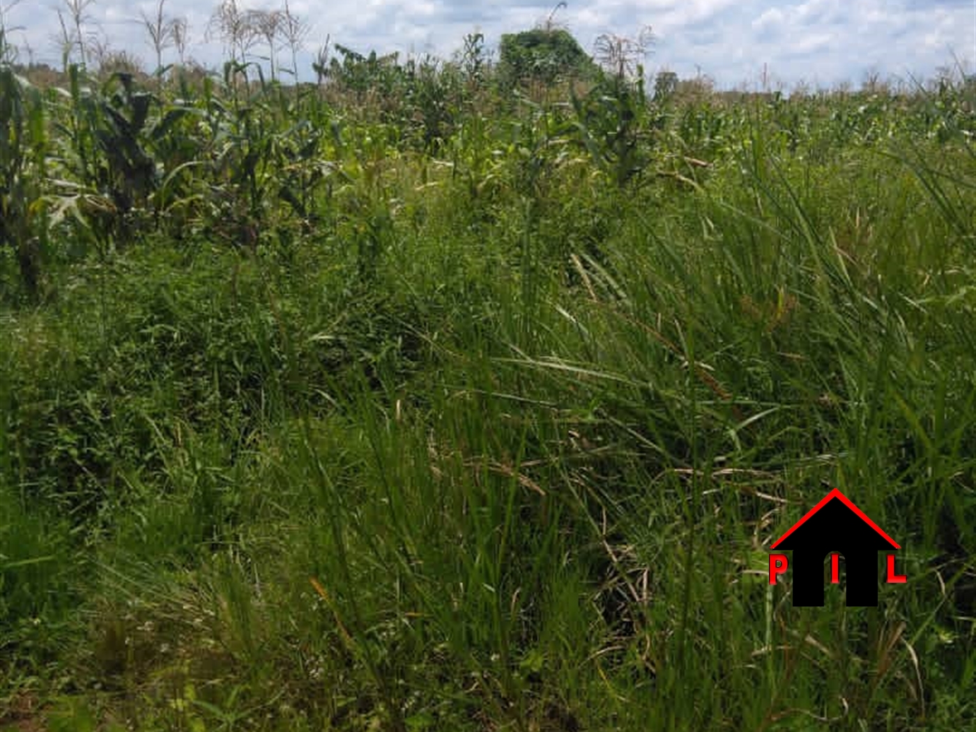 Agricultural Land for sale in Matugga Wakiso