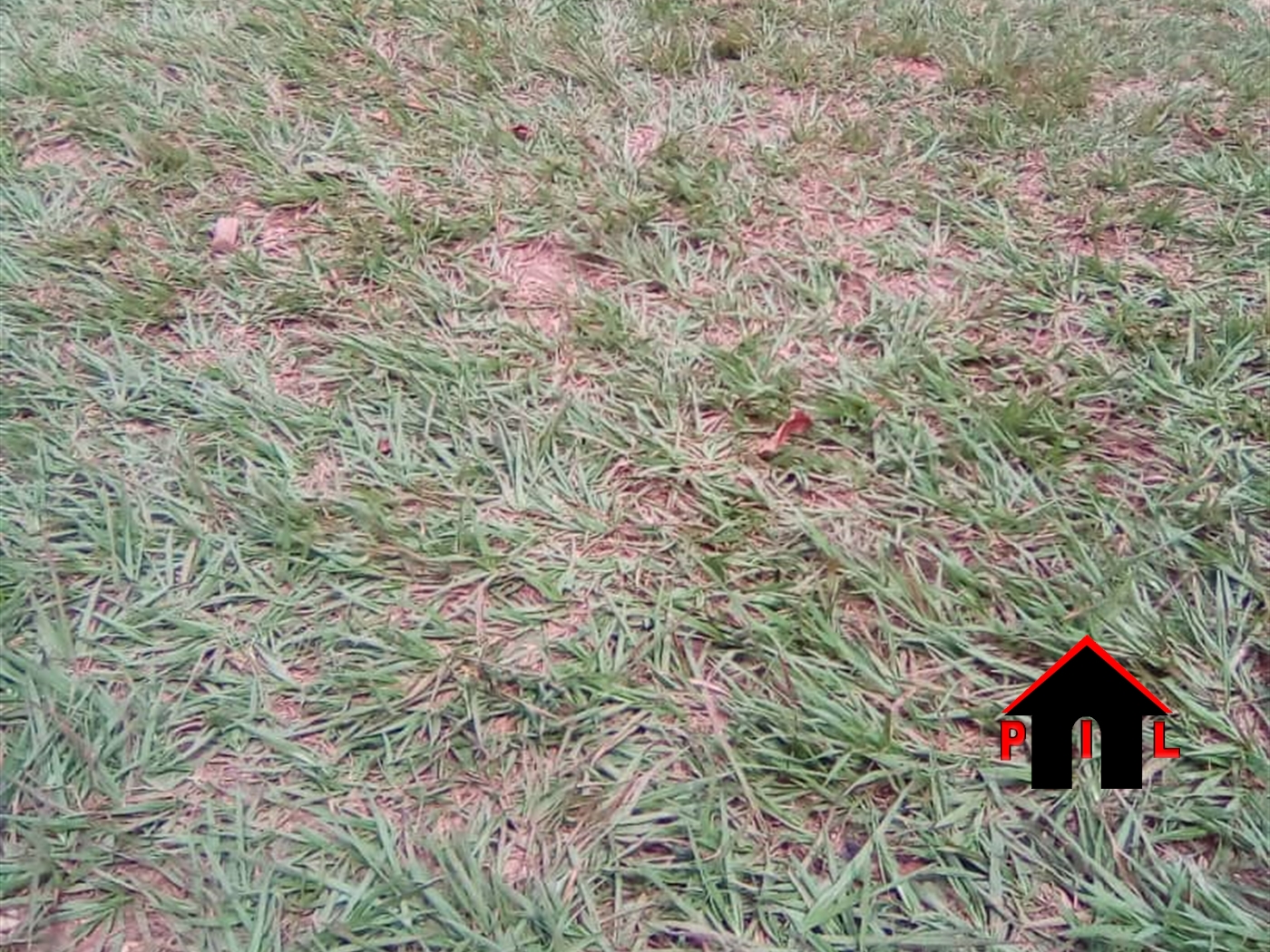 Agricultural Land for sale in Miyanzi Mityana