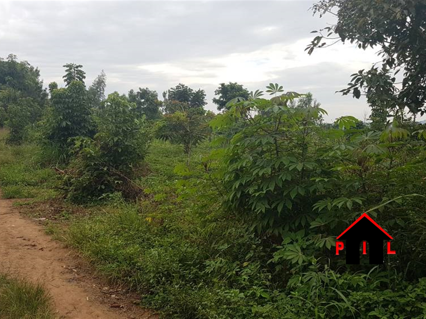 Agricultural Land for sale in Bubuubi Nakaseke