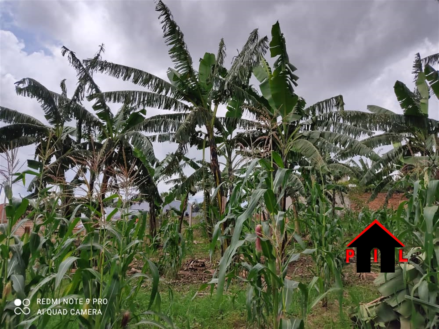 Residential Land for sale in Kira Wakiso