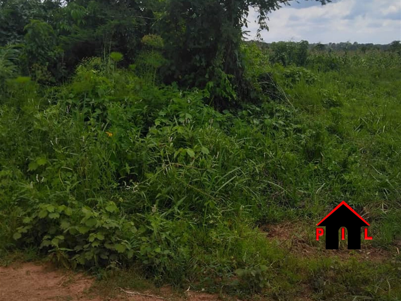 Residential Land for sale in Busunjju Mityana