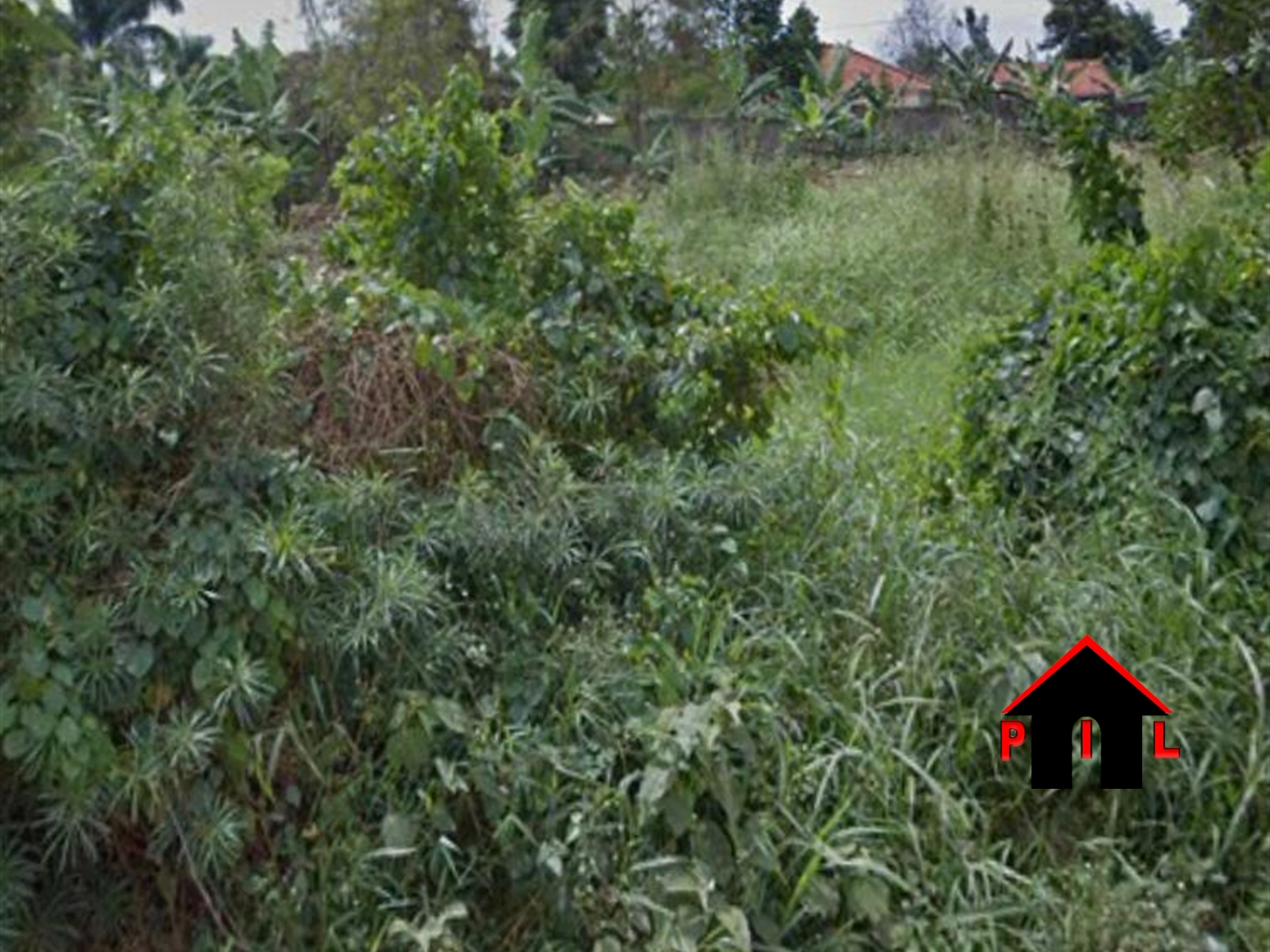 Agricultural Land for sale in Rukomera Luwero