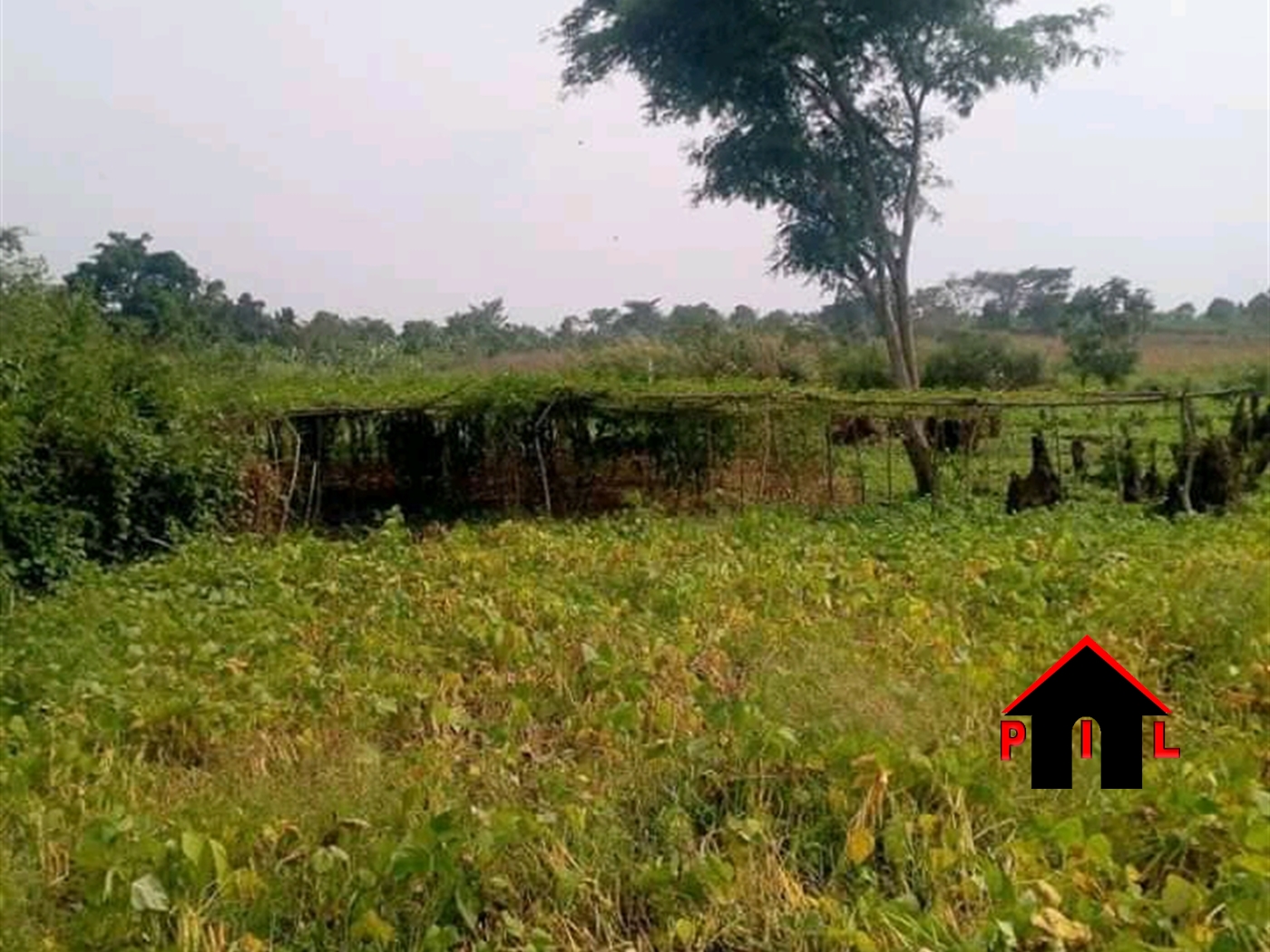 Agricultural Land for sale in Kiiso Luweero