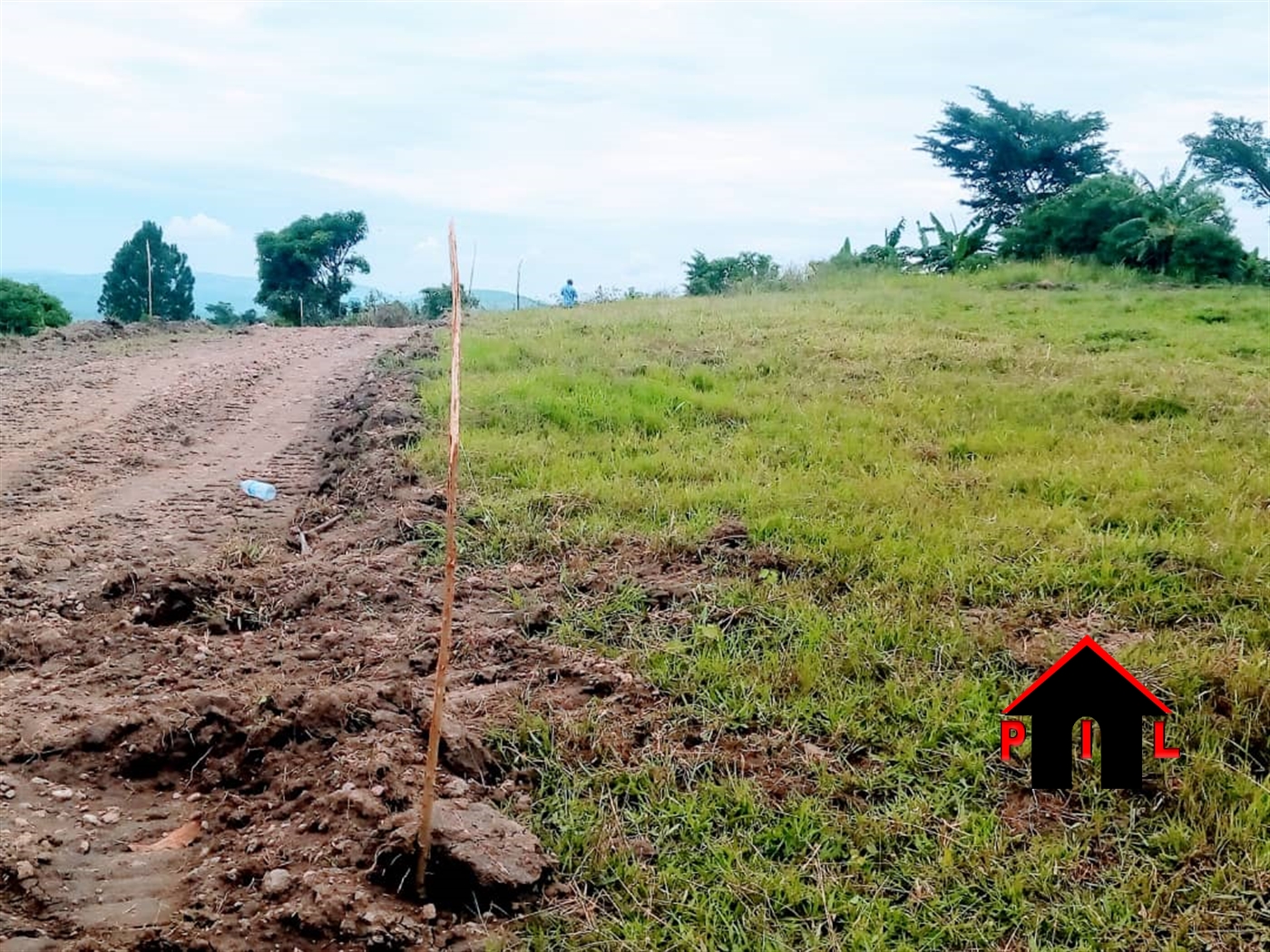 Agricultural Land for sale in Busiika Wakiso