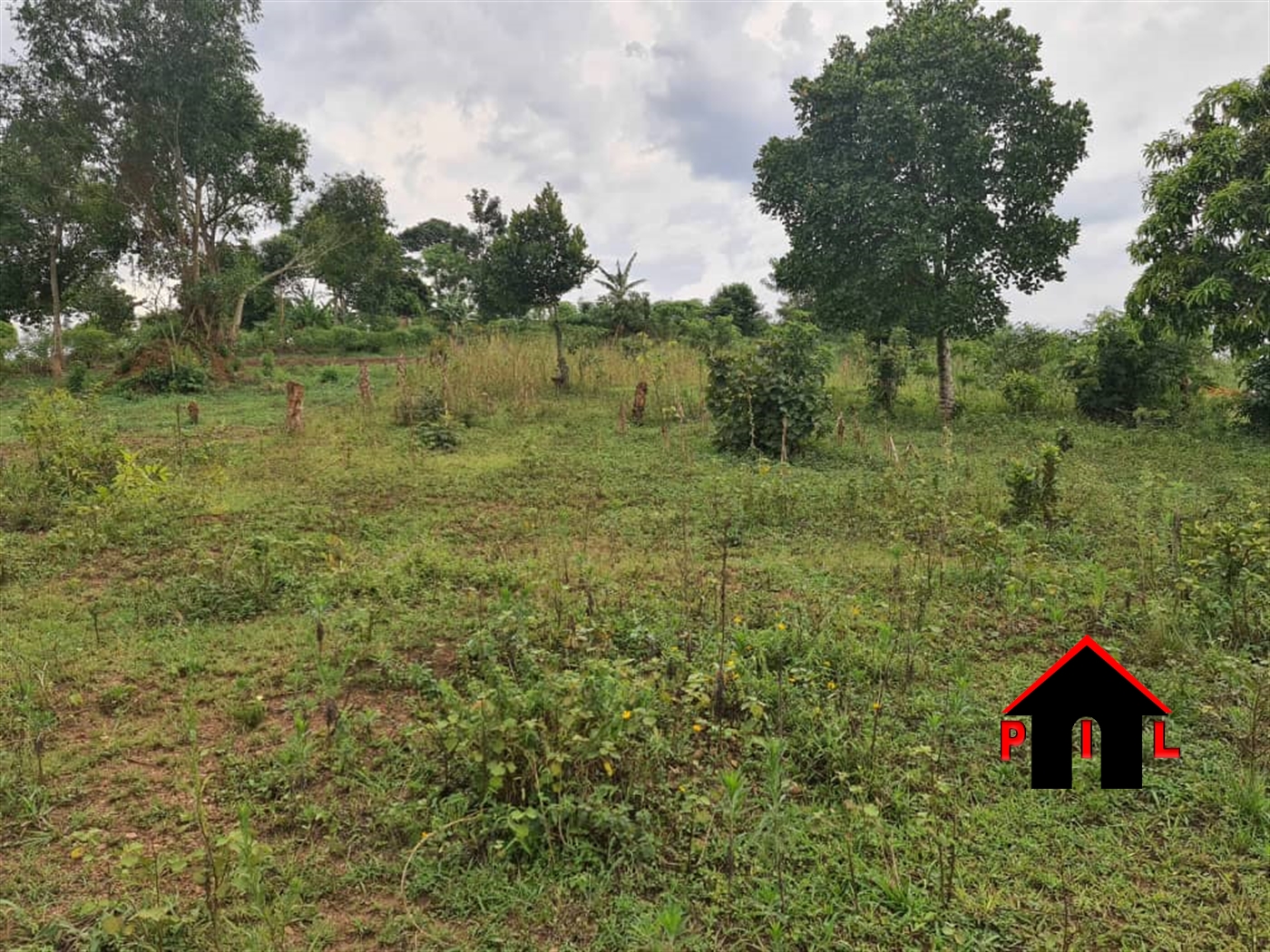 Agricultural Land for sale in Kiiso Luweero