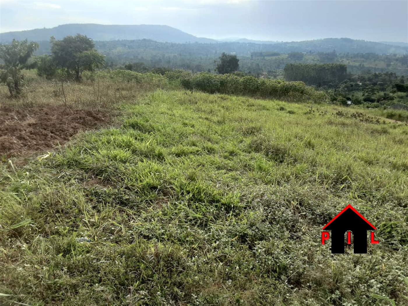 Agricultural Land for sale in Kiiso Luweero