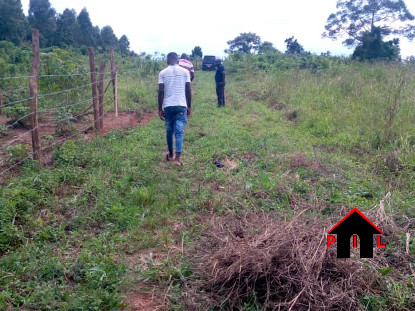 Agricultural Land for sale in Katikamu Luweero