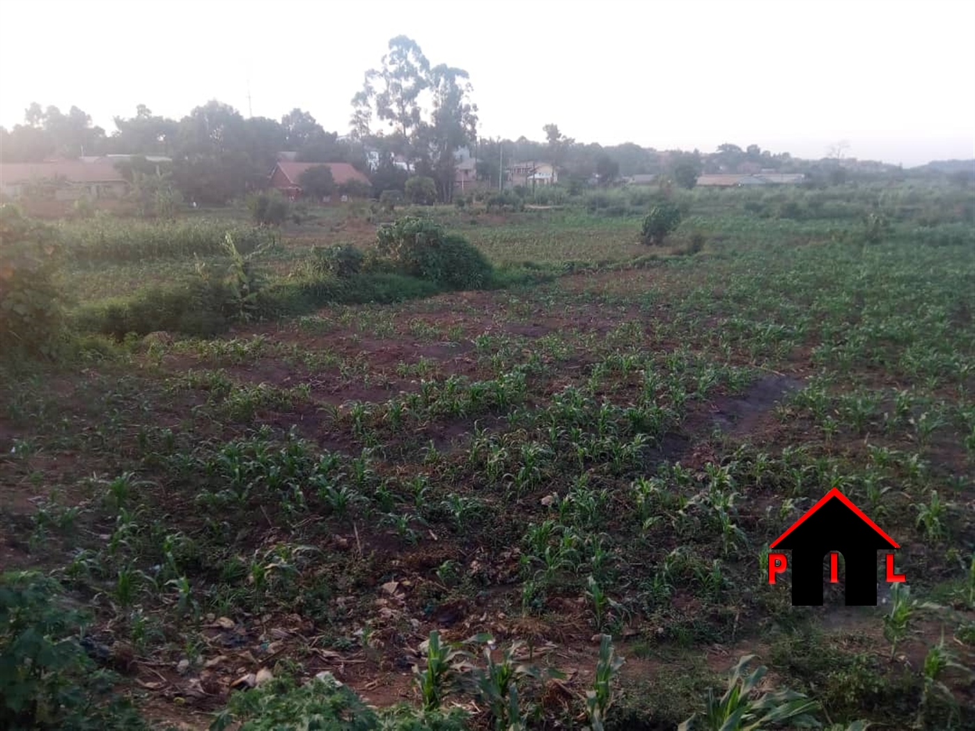 Agricultural Land for sale in Wabusaana Luweero