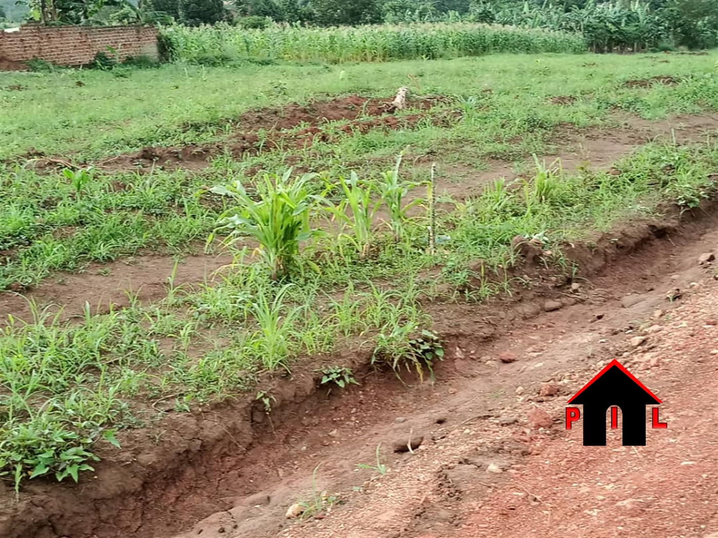 Agricultural Land for sale in Kikyuusa Luweero