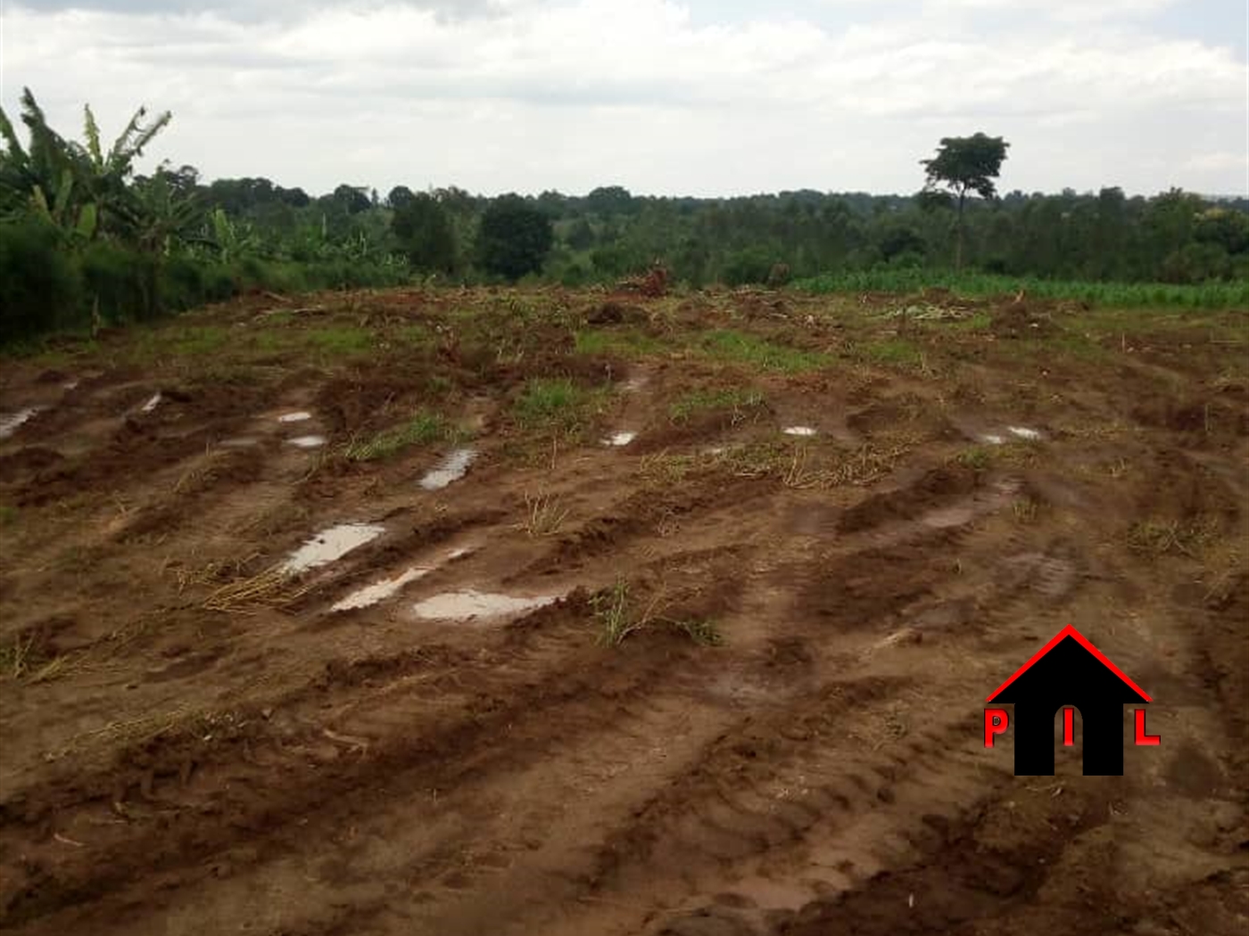 Agricultural Land for sale in Bugerere Kayunga