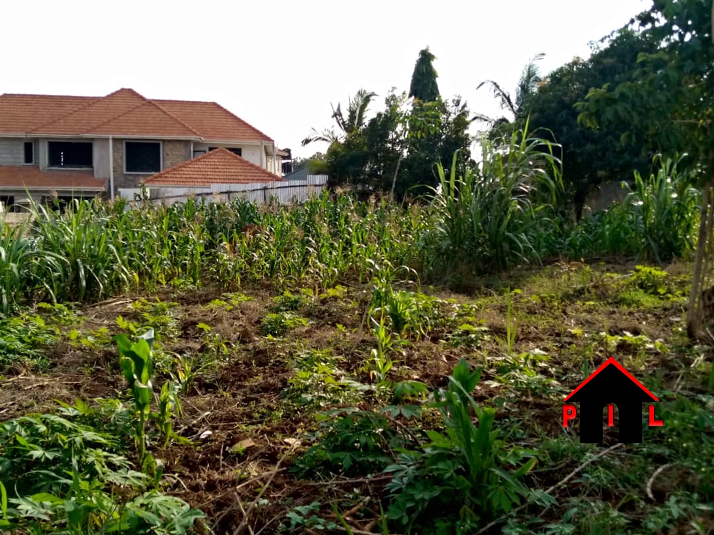 Agricultural Land for sale in Bulema Luwero
