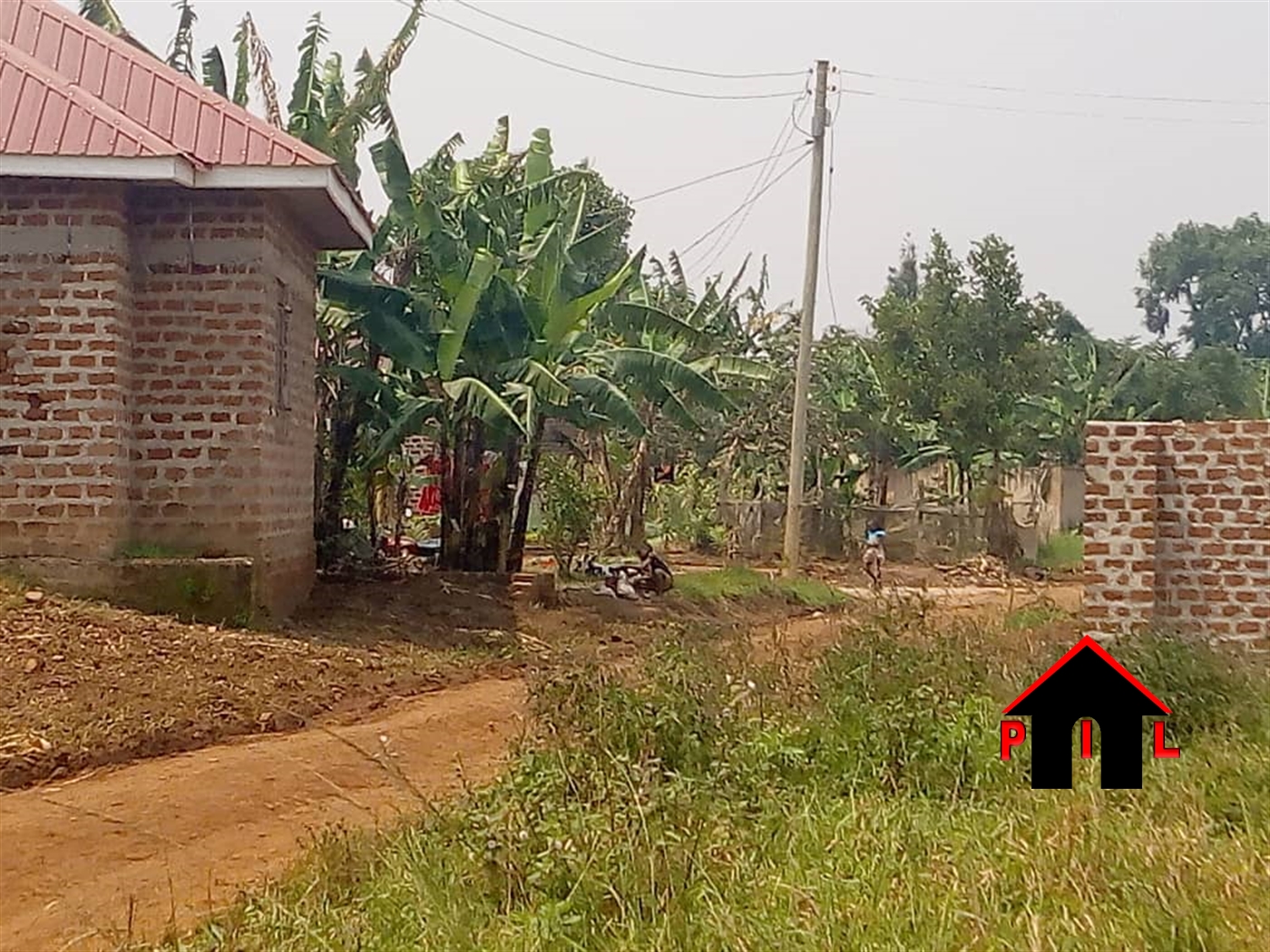 Agricultural Land for sale in Kigorobya Hoima