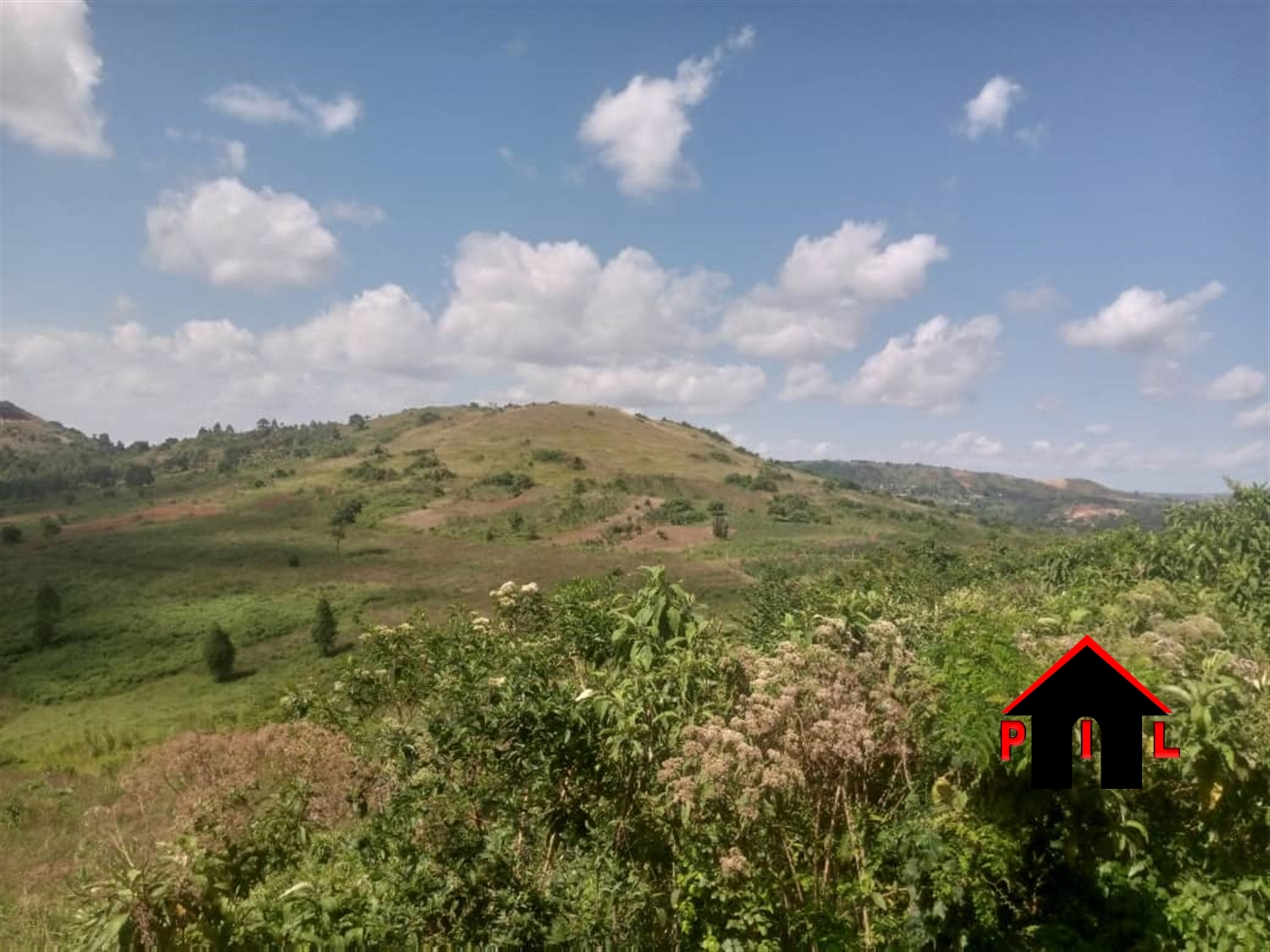 Agricultural Land for sale in Kawuku Wakiso